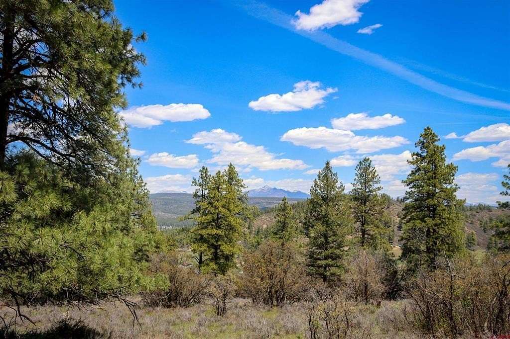 3 Acres of Residential Land for Sale in Pagosa Springs, Colorado