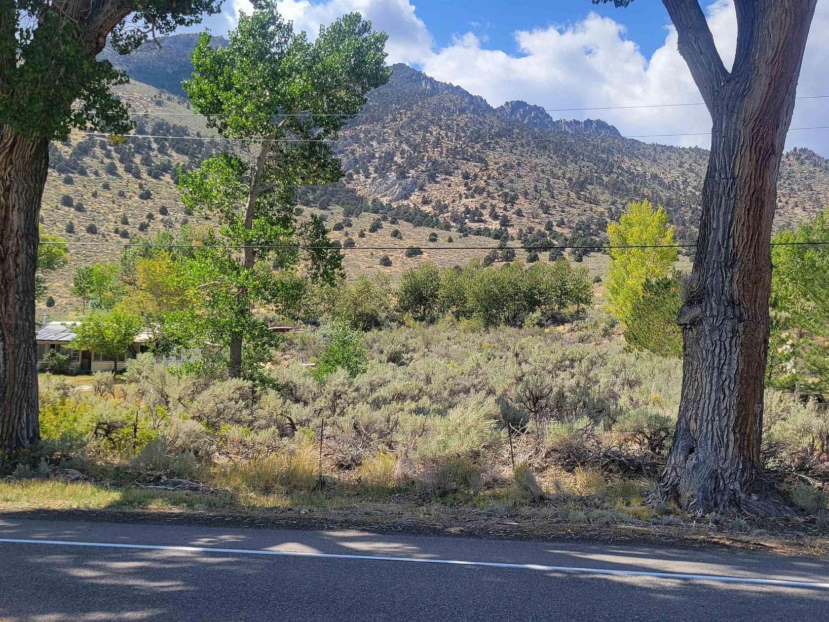 1.4 Acres of Land for Sale in Topaz, California