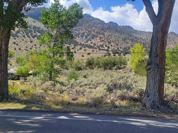 1.4 Acres of Land for Sale in Topaz, California