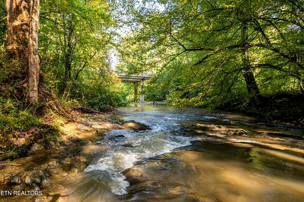 22.3 Acres of Agricultural Land for Sale in Tellico Plains, Tennessee