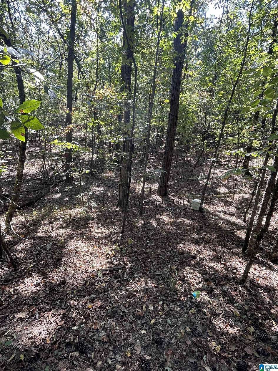 10.3 Acres of Land for Sale in Bessemer, Alabama