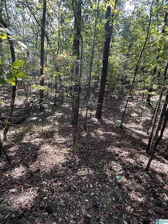 10.3 Acres of Land for Sale in Bessemer, Alabama