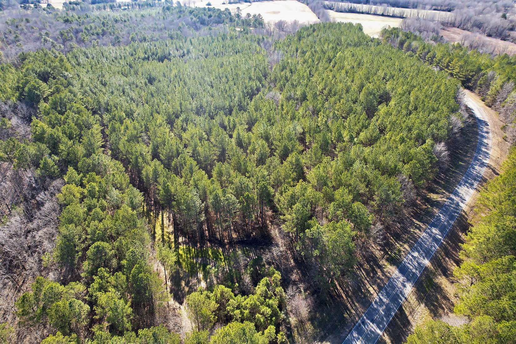 9 Acres of Land for Sale in Guntown, Mississippi