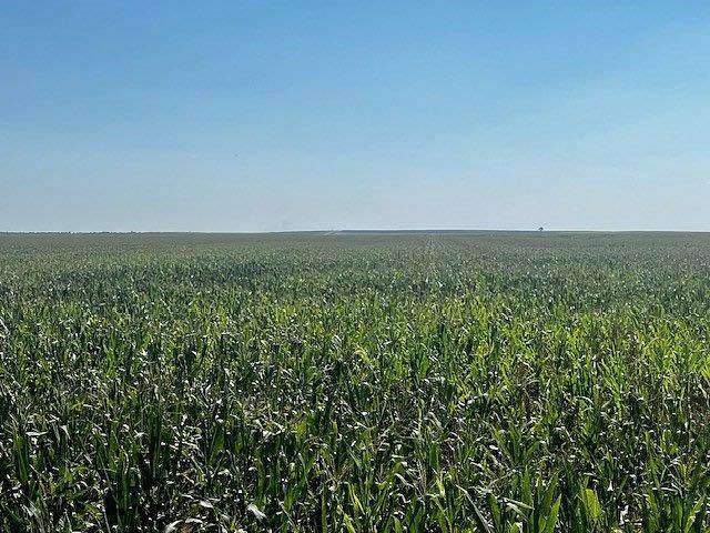 300 Acres of Agricultural Land for Sale in St. Francis, Kansas