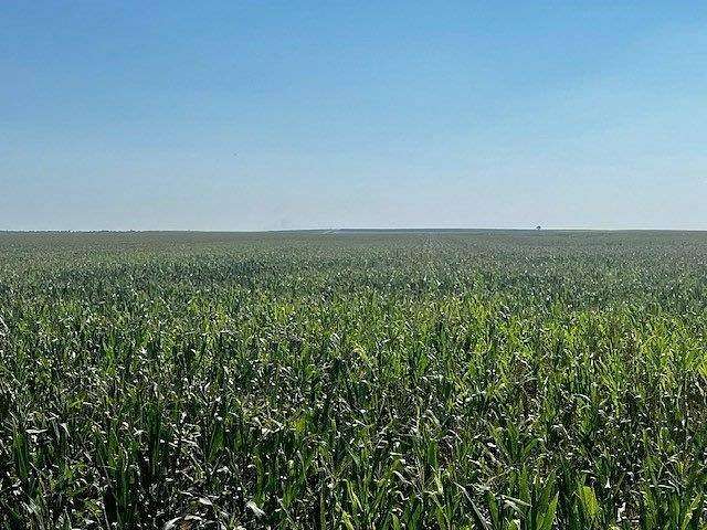 300 Acres of Agricultural Land for Sale in St. Francis, Kansas