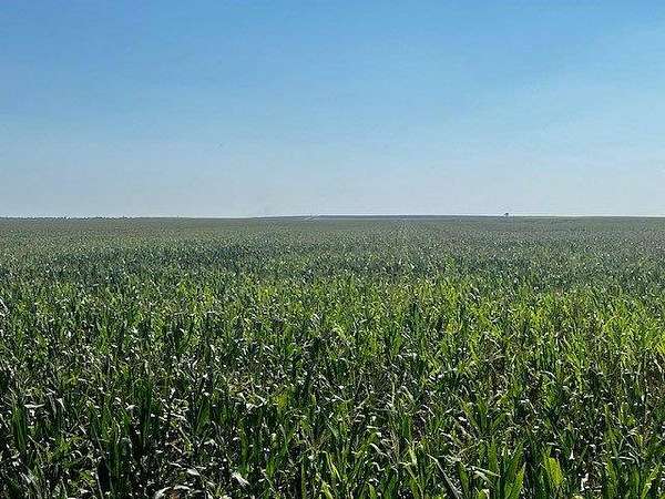 300 Acres of Agricultural Land for Sale in St. Francis, Kansas