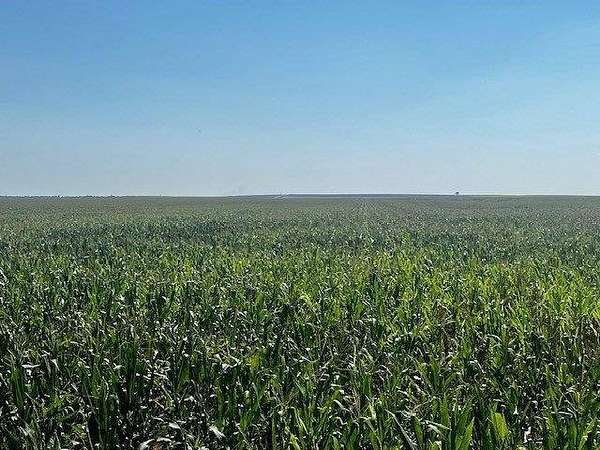 300 Acres of Agricultural Land for Sale in St. Francis, Kansas