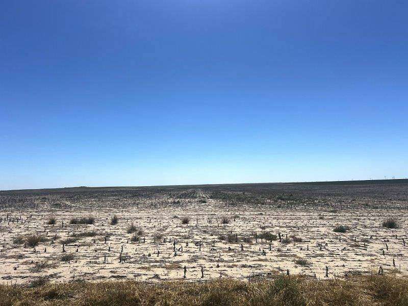 680 Acres of Agricultural Land for Sale in Arapahoe, Colorado