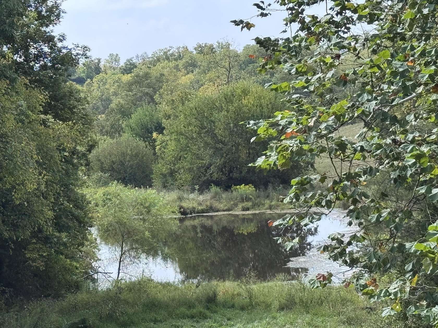 63 Acres of Land with Home for Sale in Carlisle, Kentucky