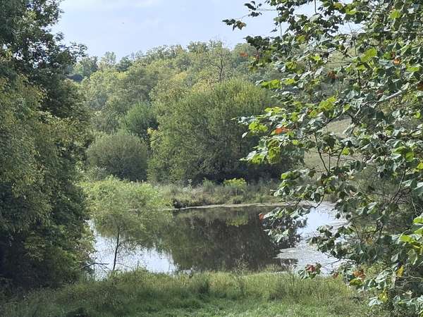 62 Acres of Land with Home for Sale in Carlisle, Kentucky