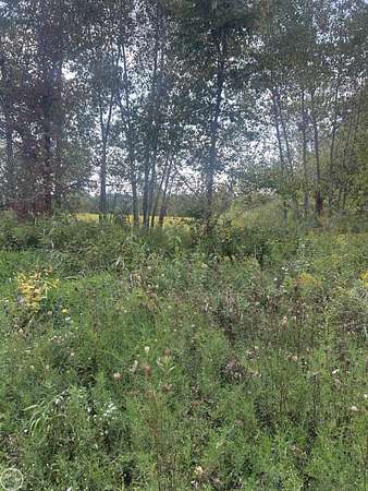 5 Acres of Residential Land for Sale in Allenton, Michigan