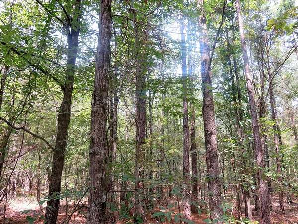 40.4 Acres of Recreational Land for Sale in Vivian, Louisiana