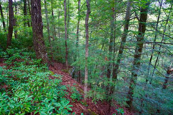 47 Acres of Recreational Land for Sale in Spencer, Tennessee