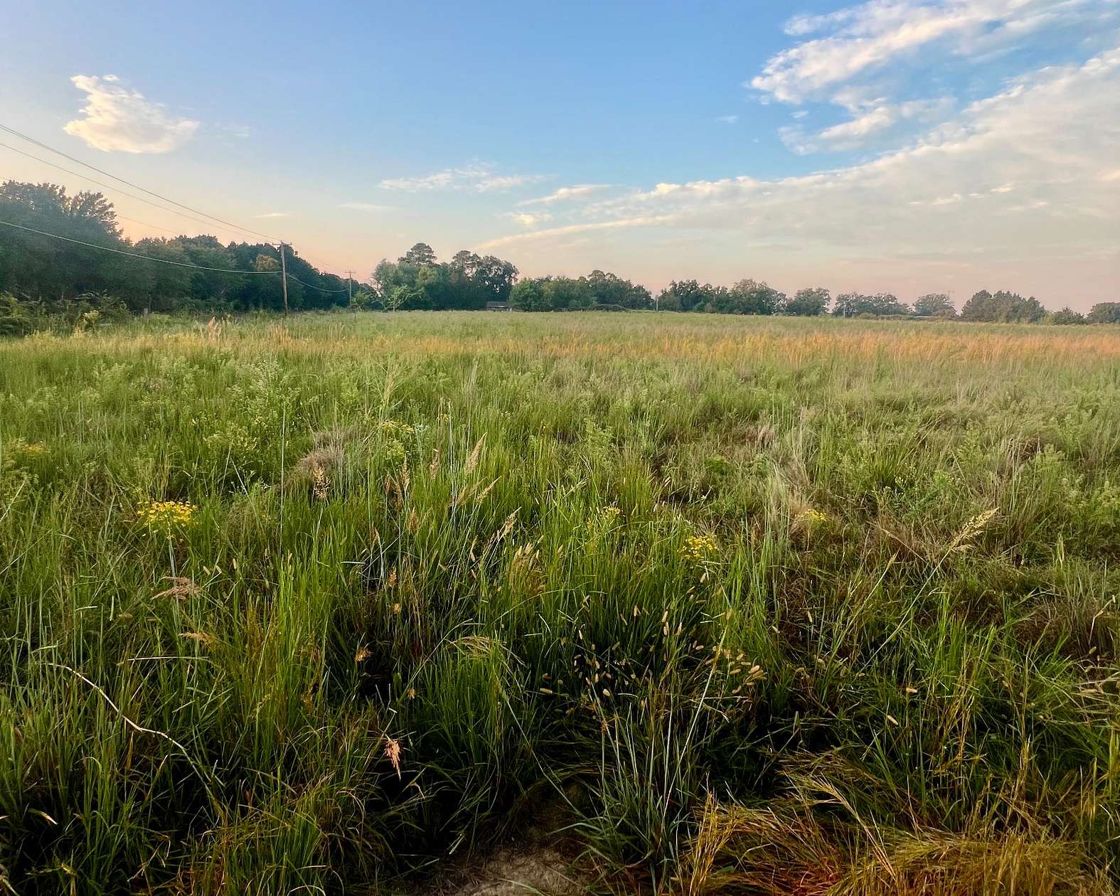 19.5 Acres of Land for Sale in Ardmore, Oklahoma