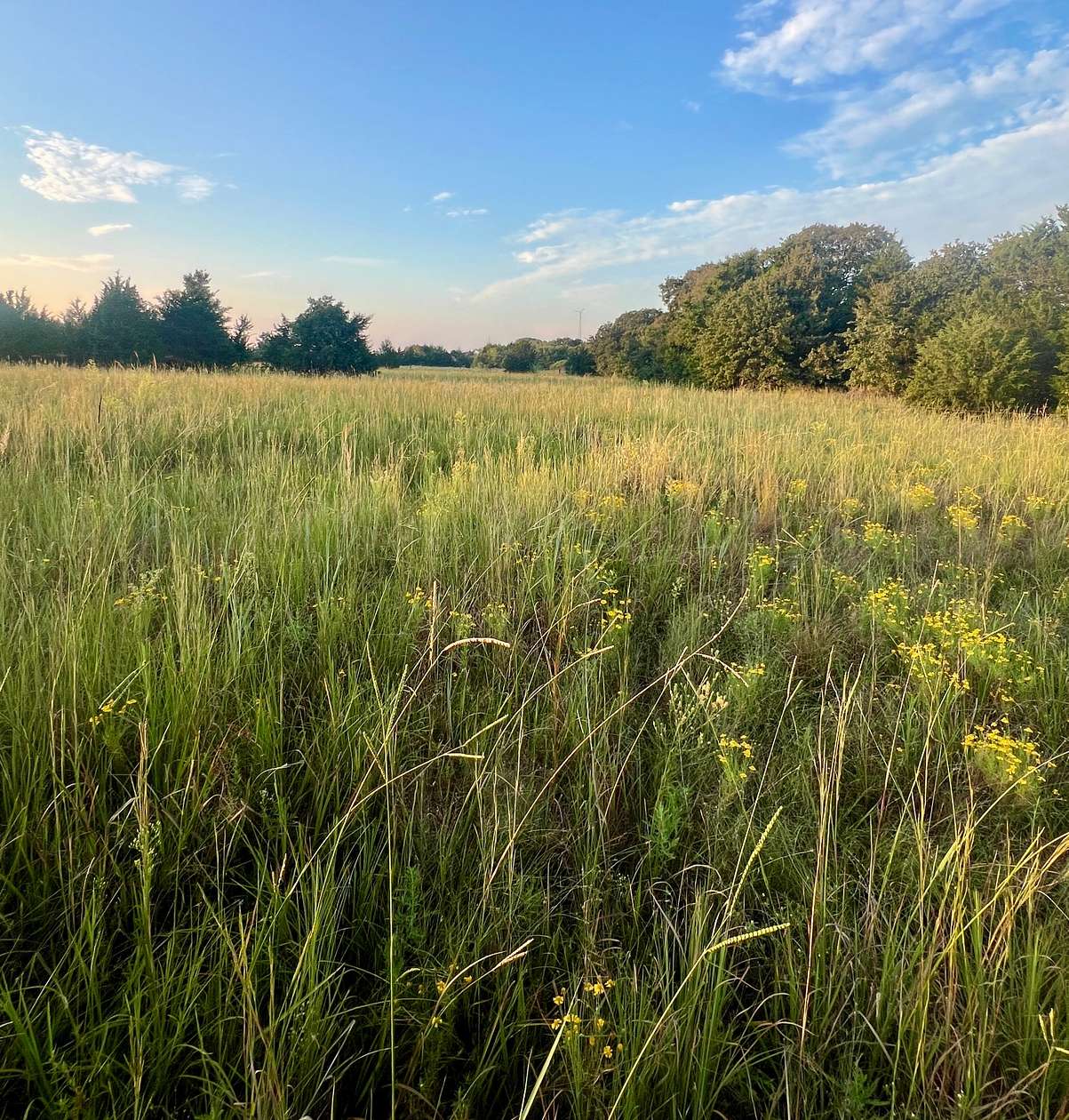 19.5 Acres of Land for Sale in Ardmore, Oklahoma