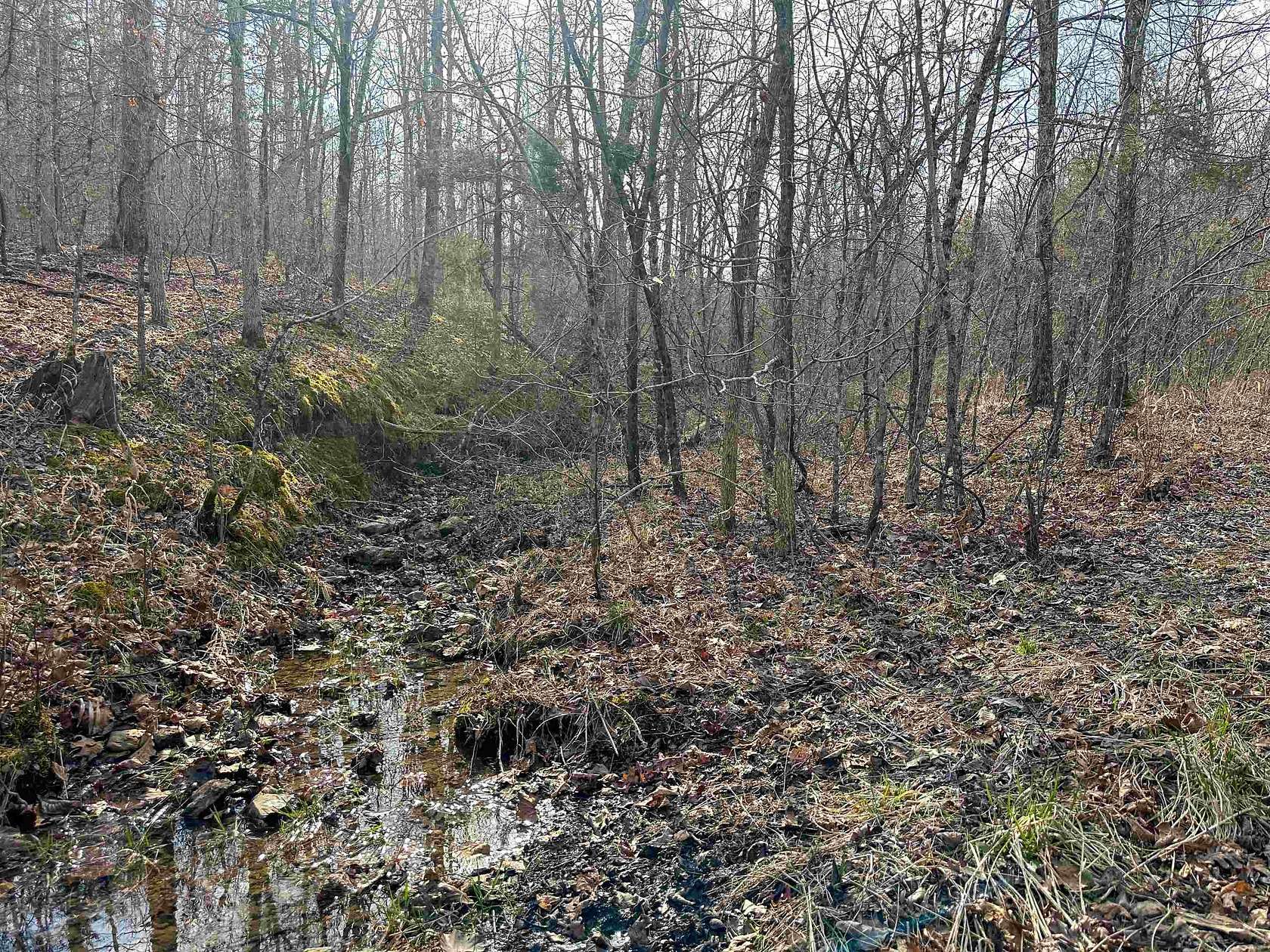 90 Acres of Recreational Land for Sale in Williford, Arkansas