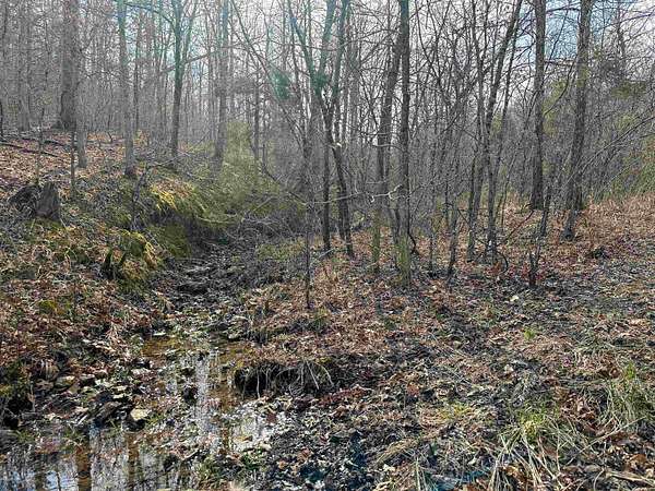 90 Acres of Recreational Land for Sale in Williford, Arkansas