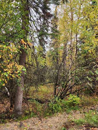 4.88 Acres of Residential Land for Sale in Fairbanks, Alaska