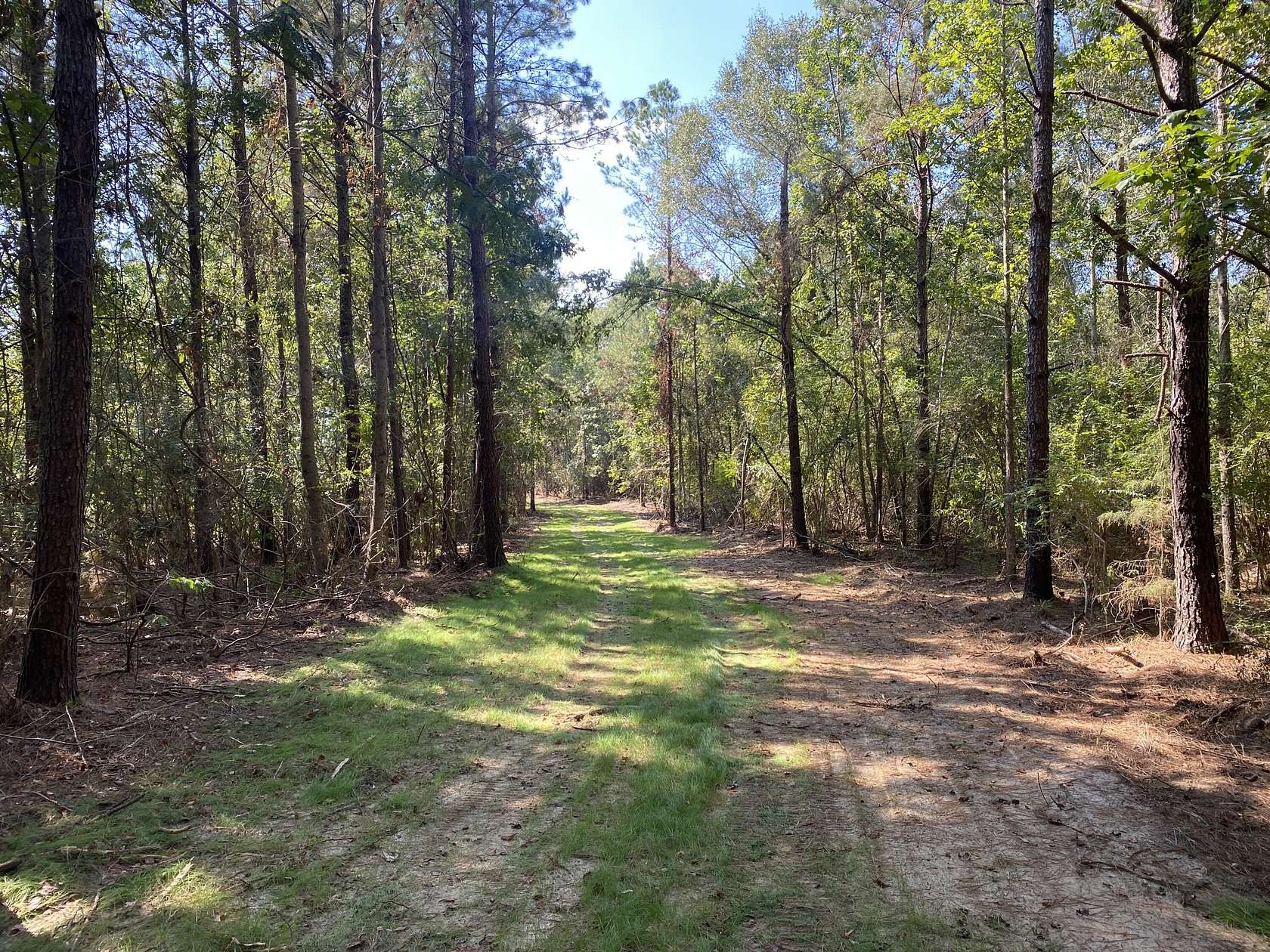 45.5 Acres of Recreational Land for Sale in Hattiesburg, Mississippi