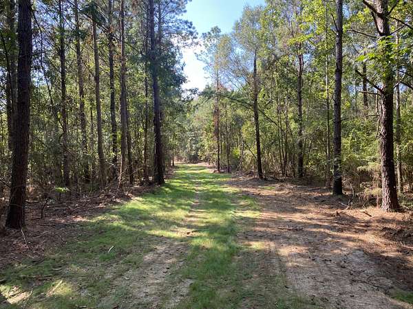 45.5 Acres of Recreational Land for Sale in Hattiesburg, Mississippi