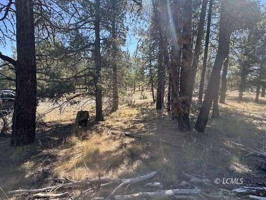 1.13 Acres of Residential Land for Sale in Chiloquin, Oregon