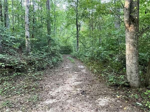 6.77 Acres of Residential Land for Sale in Dawsonville, Georgia