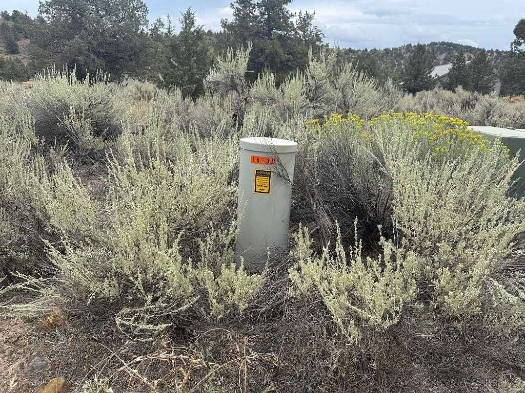 0.27 Acres of Residential Land for Sale in Weed, California