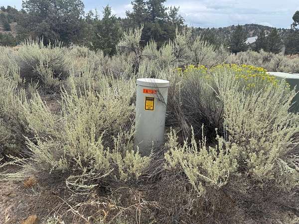 0.27 Acres of Residential Land for Sale in Weed, California