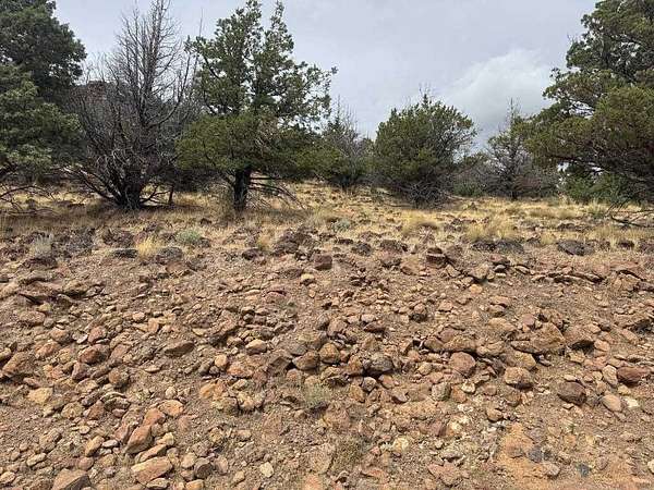 0.31 Acres of Land for Sale in Weed, California