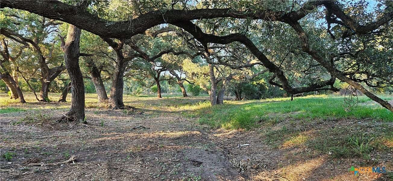 23.9 Acres of Recreational & Residential Land for Sale in Meyersville, Texas