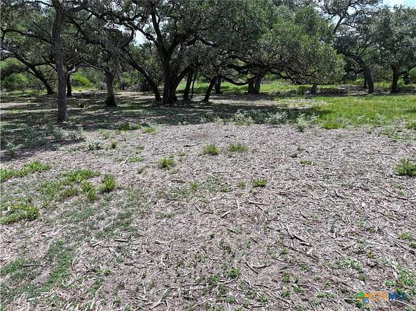 23.9 Acres of Recreational Land for Sale in Meyersville, Texas