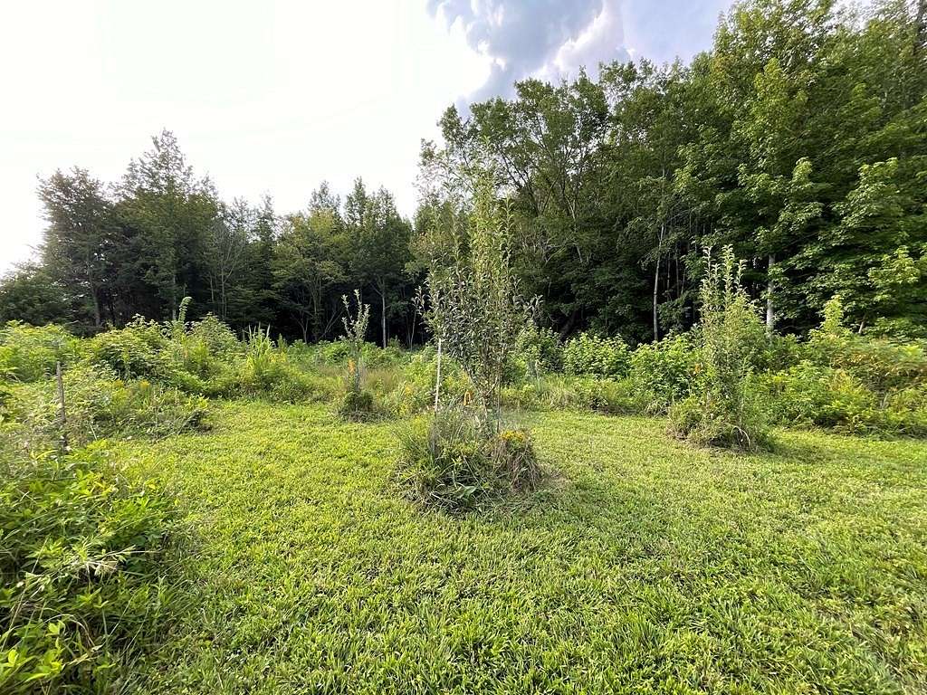 4.2 Acres of Residential Land for Sale in Paris, Tennessee