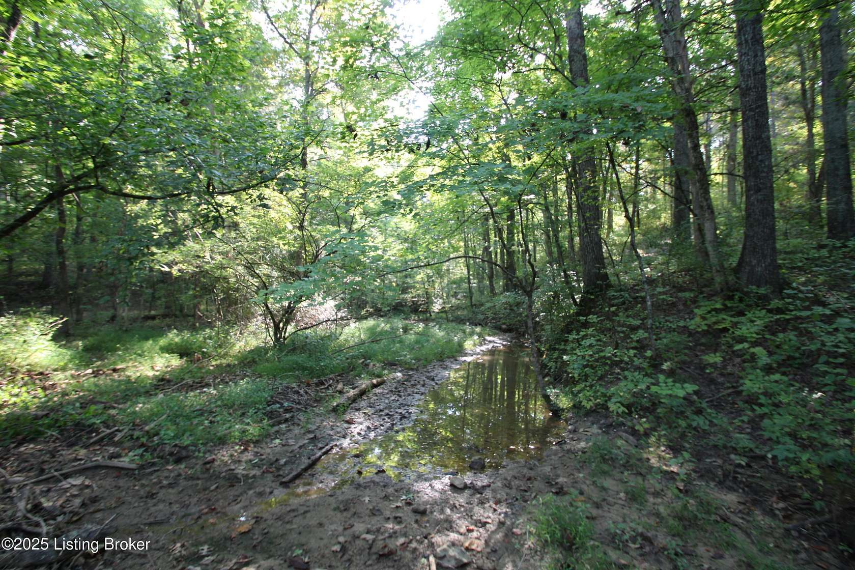 21 Acres of Recreational Land with Home for Sale in Louisville, Kentucky