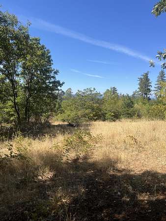 47 Acres of Recreational Land for Sale in Round Mountain, California