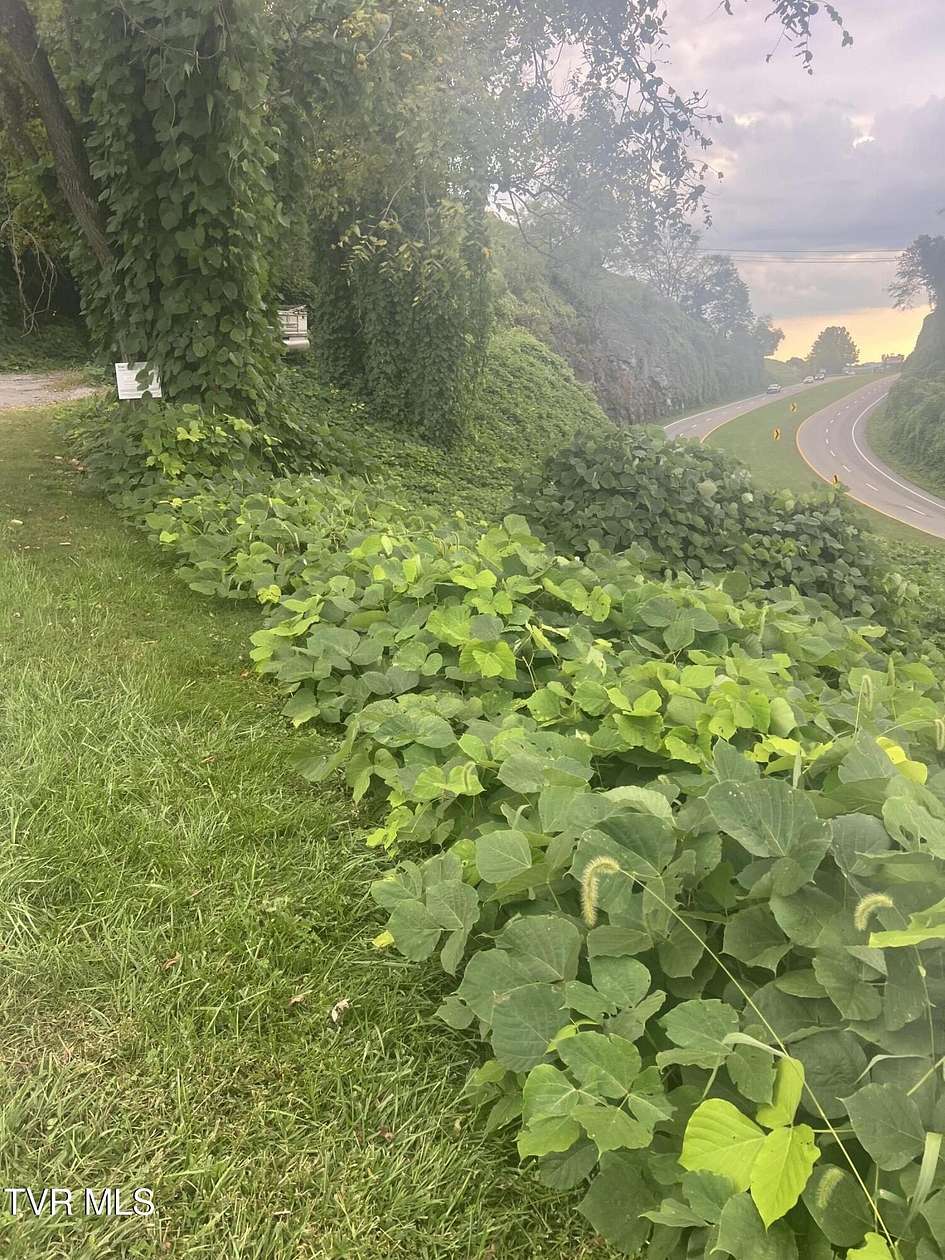 0.77 Acres of Residential Land for Sale in Castlewood, Virginia