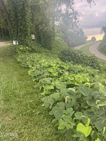 0.77 Acres of Residential Land for Sale in Castlewood, Virginia