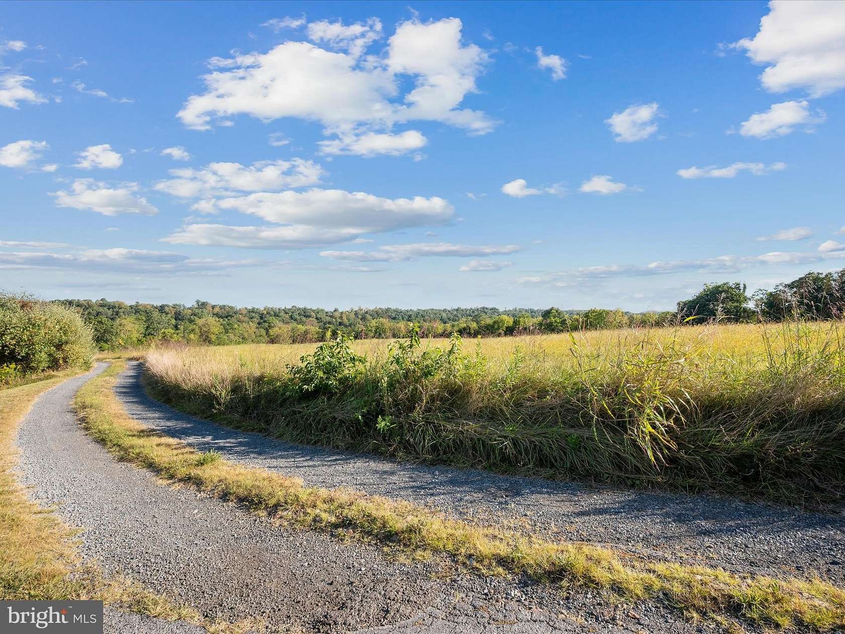 13.2 Acres of Land for Sale in Edinburg, Virginia