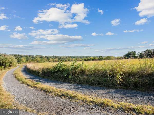 13.2 Acres of Land for Sale in Edinburg, Virginia