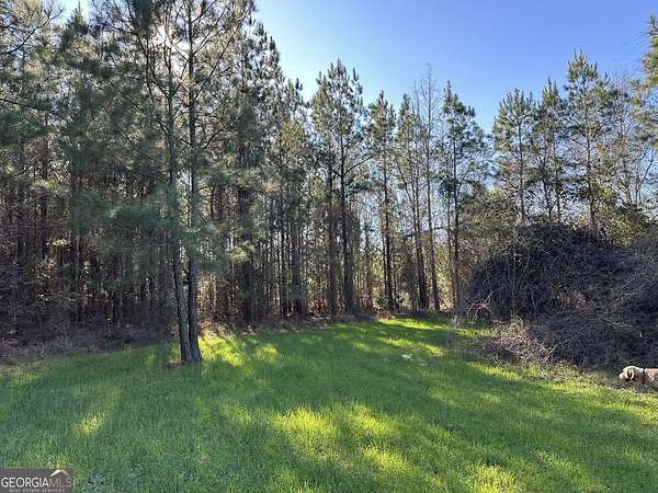 26 Acres of Recreational Land for Sale in Gordon, Alabama