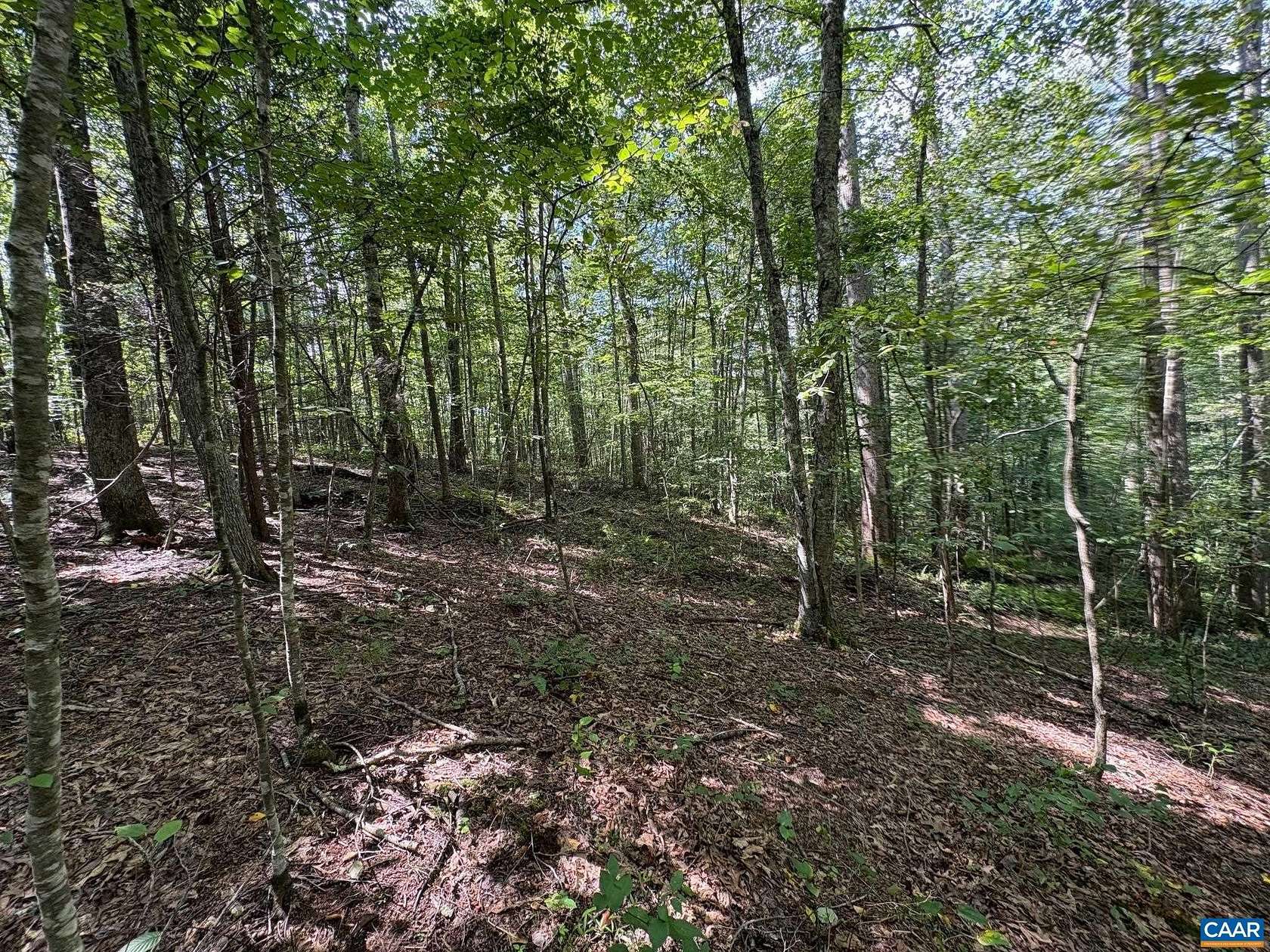 39.2 Acres of Land for Sale in Haywood, Virginia