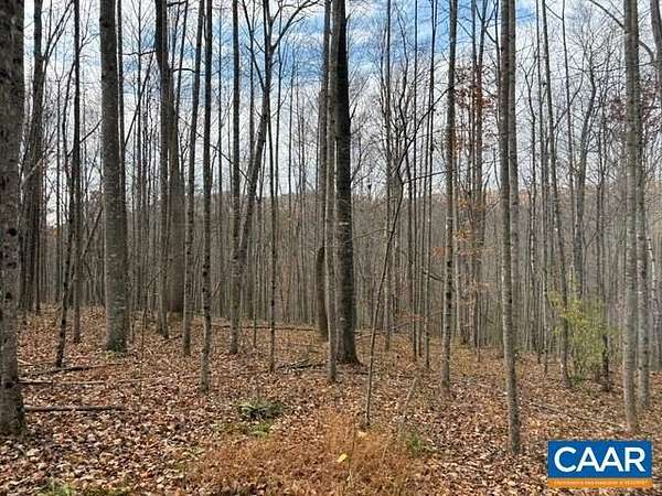 39.2 Acres of Land for Sale in Haywood, Virginia