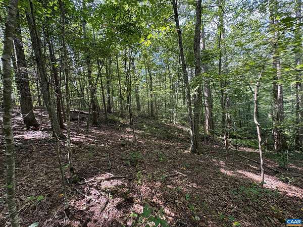 39.2 Acres of Land for Sale in Haywood, Virginia