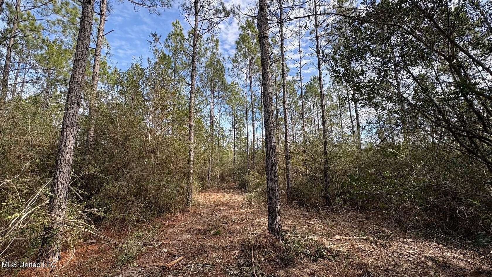 24.2 Acres of Land for Sale in Saucier, Mississippi