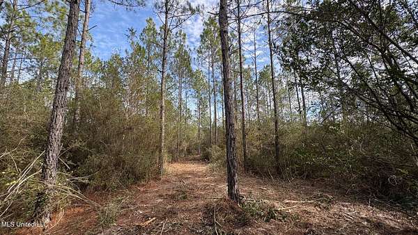 24.2 Acres of Land for Sale in Saucier, Mississippi