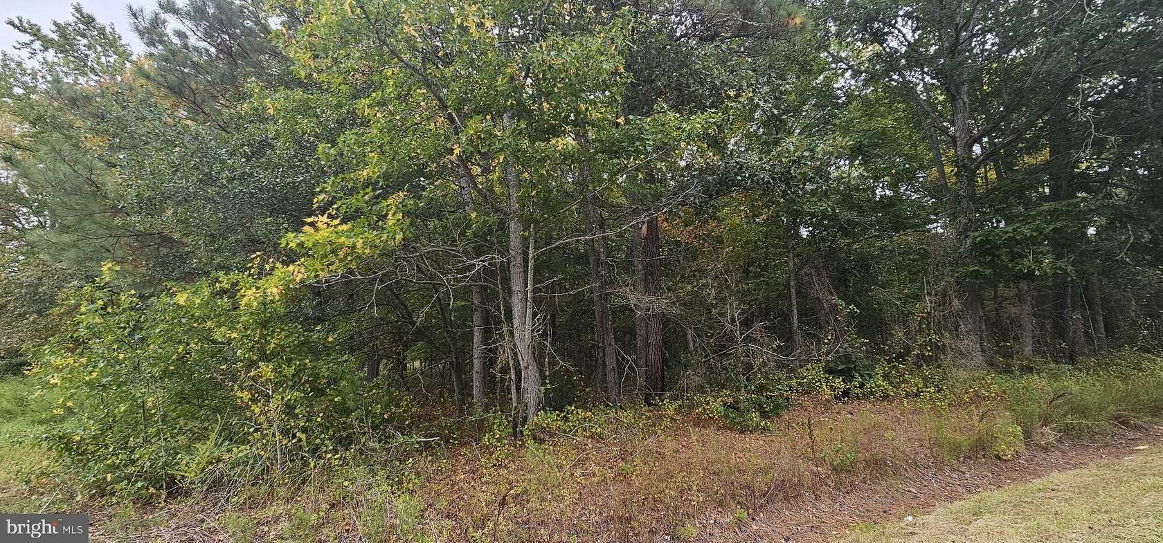 8.25 Acres of Residential Land for Sale in Princess Anne, Maryland