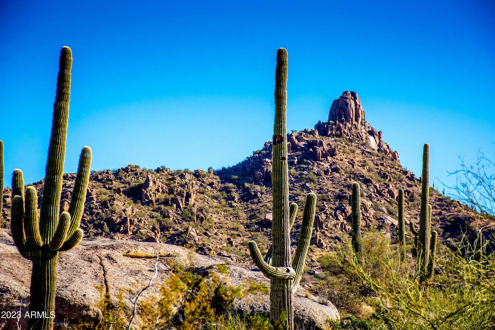 5.1 Acres of Residential Land for Sale in Scottsdale, Arizona