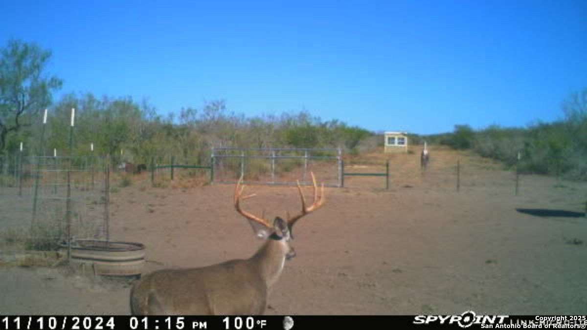 20 Acres of Recreational Land for Sale in Freer, Texas