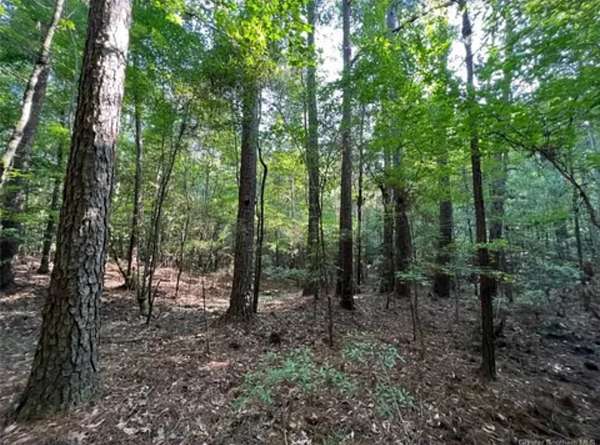 12.4 Acres of Land for Sale in Jennings, Louisiana