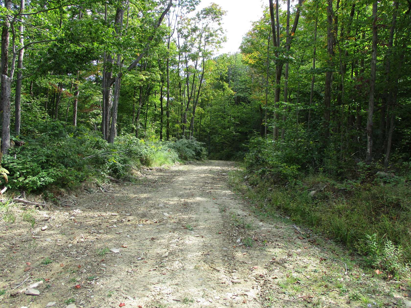 109 Acres of Recreational Land for Sale in Almond, New York