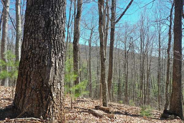 5.25 Acres of Land for Sale in Crumpler, North Carolina